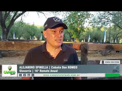 ALEJANDRO SPINELLA | Cabaña Don ROMEO | Olavarría  16° Remate Anual