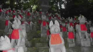 preview picture of video 'It has gone to Toyokawa Inari.'