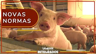 Miniatura do vídeo