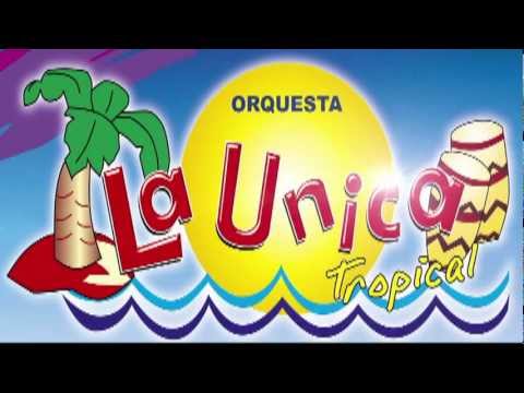 Millonario de amor  La Unica Tropical primicia