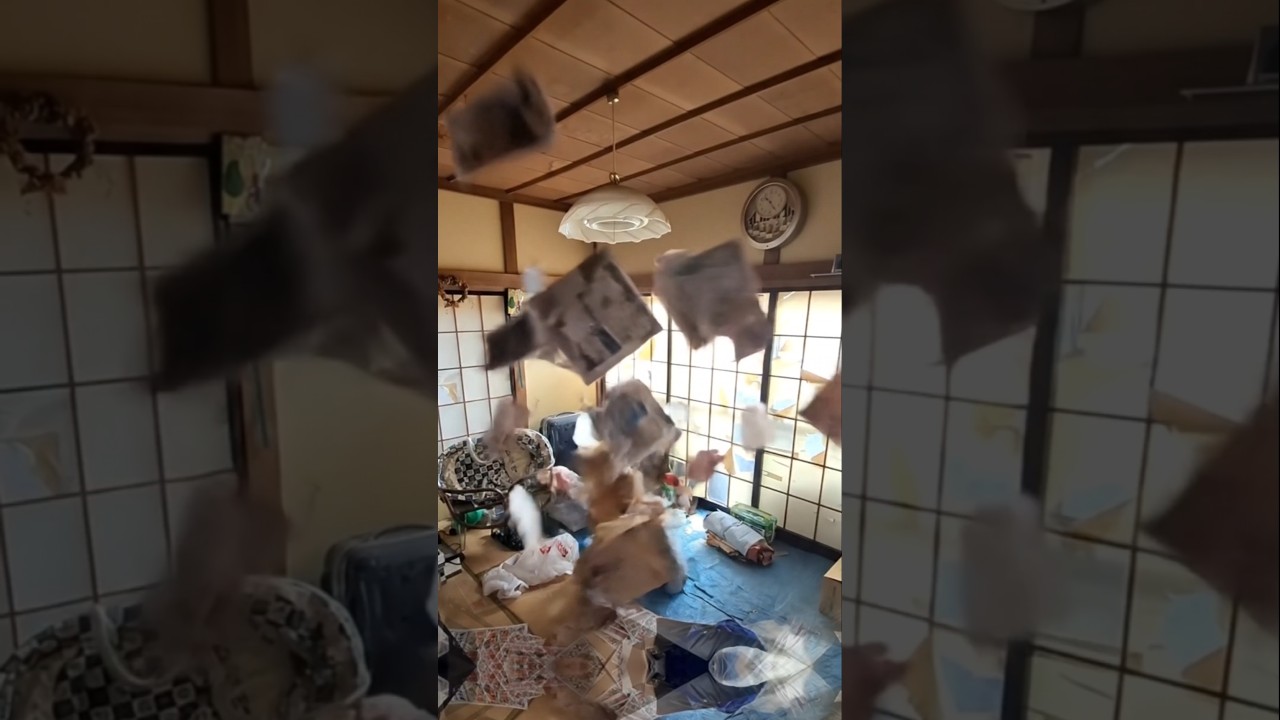 7日目 この部屋は台風に襲われました…  #100日チャレンジ #リフォーム #リノベーション #diy #ビフォアーアフター