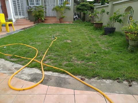 Tanam Rumput Karpet Asli Episod 2