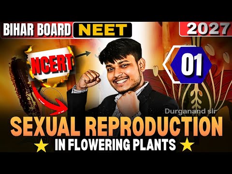 Class 12 Biology | Sexual Reproduction in Flowering Plants | Stamen & Microsporogenesis Explained