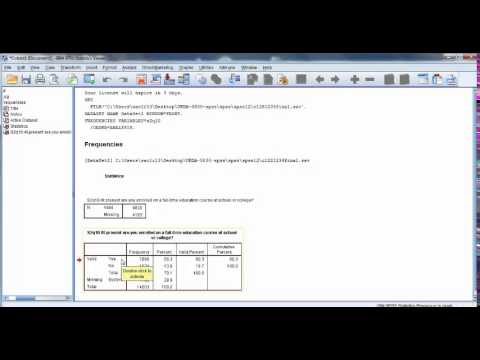 Frequency Test in SPSS