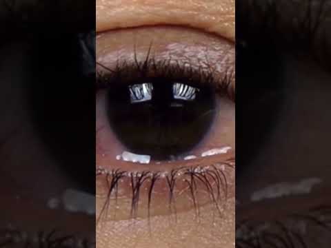 Datura Trip #shorts #datura #facts