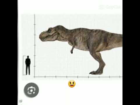 mama scarface edit😎