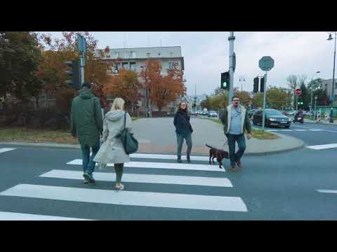 Stare Bielany - Podczaszyńskiego | Warszawa - Jesień 2022 [4k]