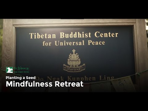 Planting a Seed - Mindfulness Retreat