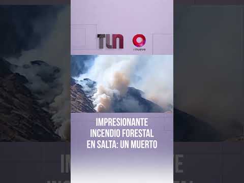 Impresionante incendio forestal en Salta: un muerto