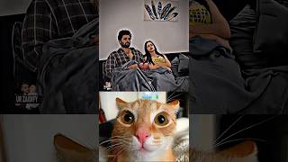 wait For twist 🤣 💀 #cat #meme #dance #baby #trending #jaidmeel