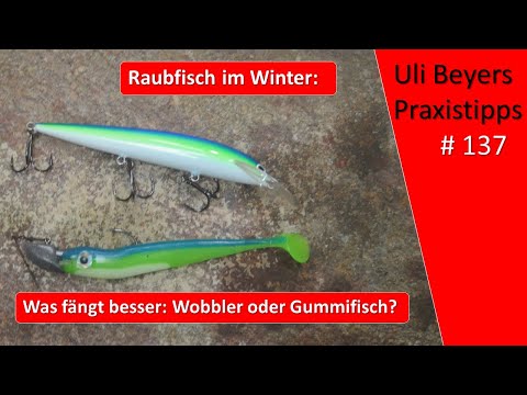 Raubfischangeln im Winter: Angeln mit Wobbler oder Gummifisch?