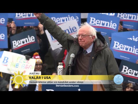 De ska vinna mot Donald Trump - "Han går starkast" - Nyhetsmorgon (TV4)