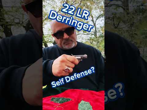 NAA North American Arms .22 LR Mini Revolver For Self Defense? Would I Trust My Life With It?