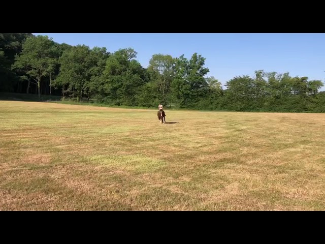 Kiki