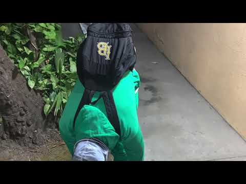 Eso Danu - Sare Wole