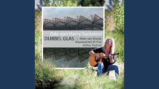 Goofy (feat. Peter van Elswijk - gitaar, Arthur Postma - piano &amp; Leo Sienot - slide gitaar)