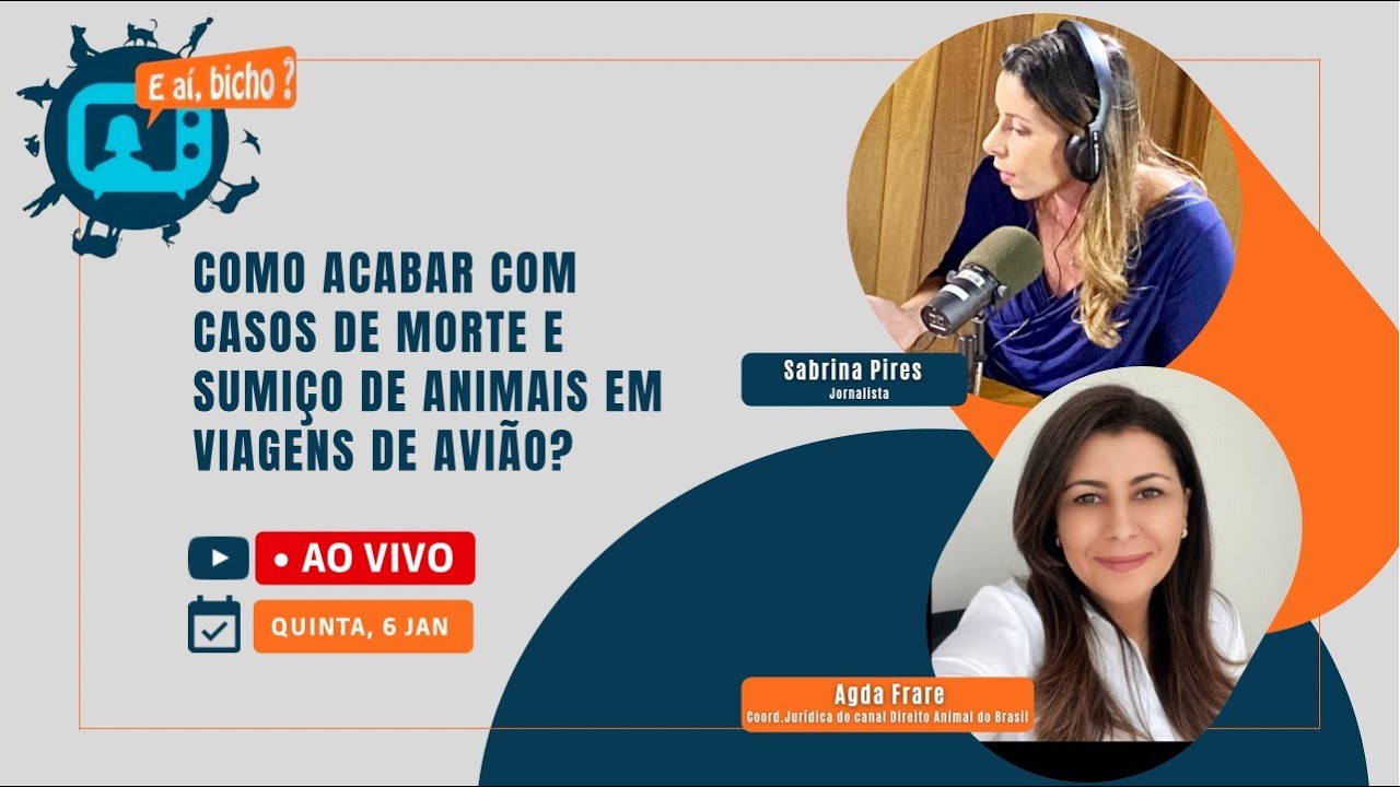 Como acabar com casos de MORTE E SUMIÇO DE ANIMAIS em aviagens de AVIÃO? Caso PANDORA