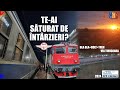 Mangalianul Rapid De Timisoara Alternativa La Arad