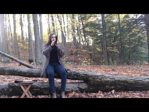 Hornpype in the Woods: Alboka (Basque Hornpipe)