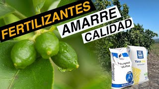 Nitrabor | Hydrospeed - Que son y para que sirven en el cultivo de Limón.