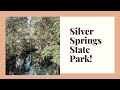 Silver Springs State Park Camping Glass Bottom Boats And Gorgeous Hiking Trails