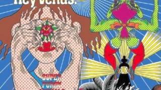 Super Furry Animals- Baby Ate My Eightball Album Version