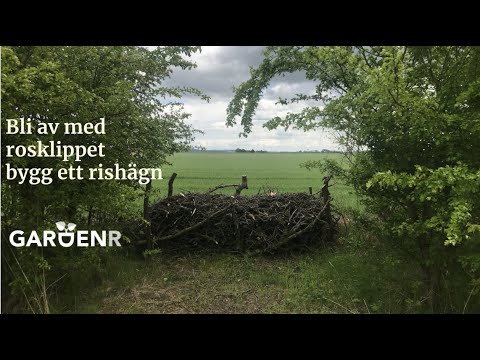 Bli av med rosklippet, bygg ett rishägn - Trädgårdshacks med GardenR