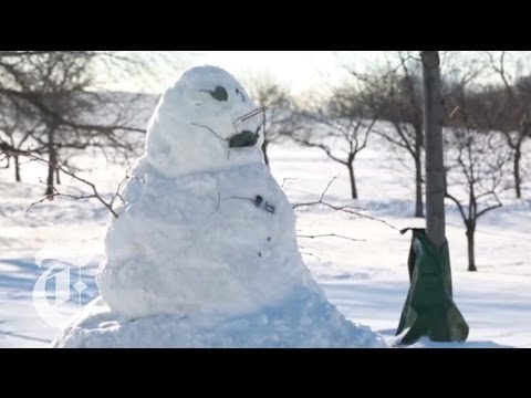 Polar Vortex 2014: A Dispatch From Chilly Chicago | The New York Times