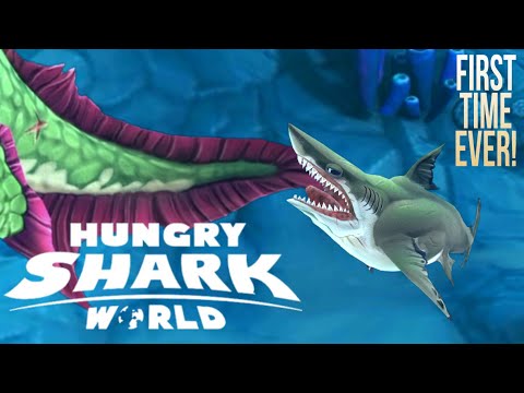 Mini Megalodon live contest | Hungry shark world