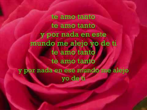 Flex-Te amo Tanto(Lyrics)