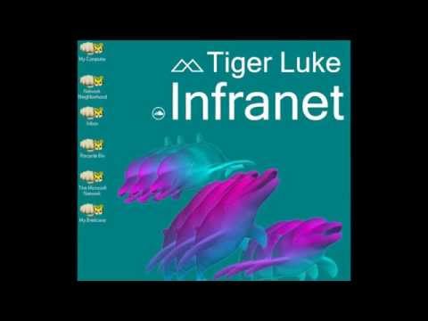 Tiger Luke - Infranet