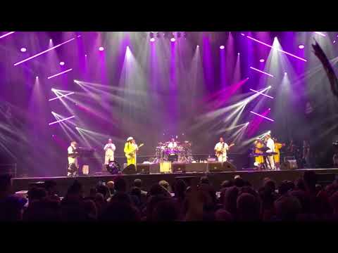 Nile Rodgers & Chic Lowlands 2018