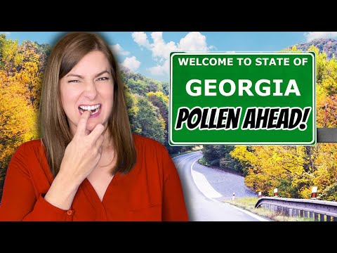 Part of a video titled REAL Reasons NOT To Move To Georgia - YouTube