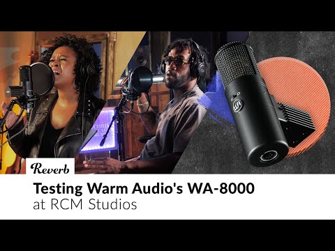 Warm Audio WA-8000: Peter CottonTale & Rachel Robinson at RCM Studios