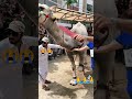 Eid Qurbani Eid Eidmubarak Motivation Youtubeshorts Youtube