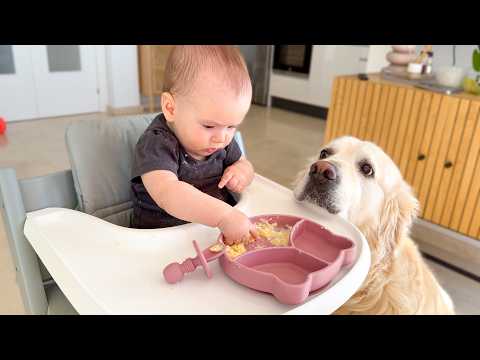 YouTube 썸네일