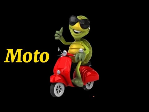 Curiosidades do Goiás