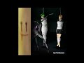 Sailor Pluto Patricia Getting Tortured By A Cursed Black Widow Drawing