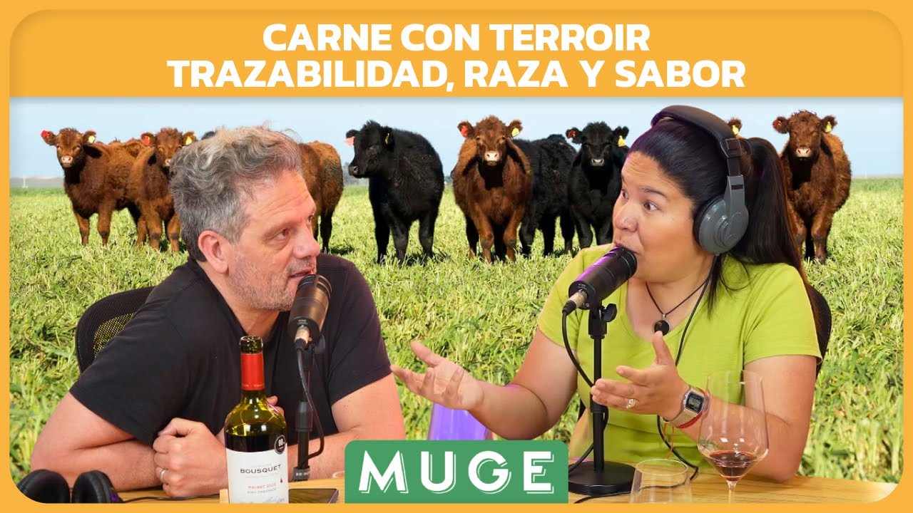 Vivo Vino Ep. 04