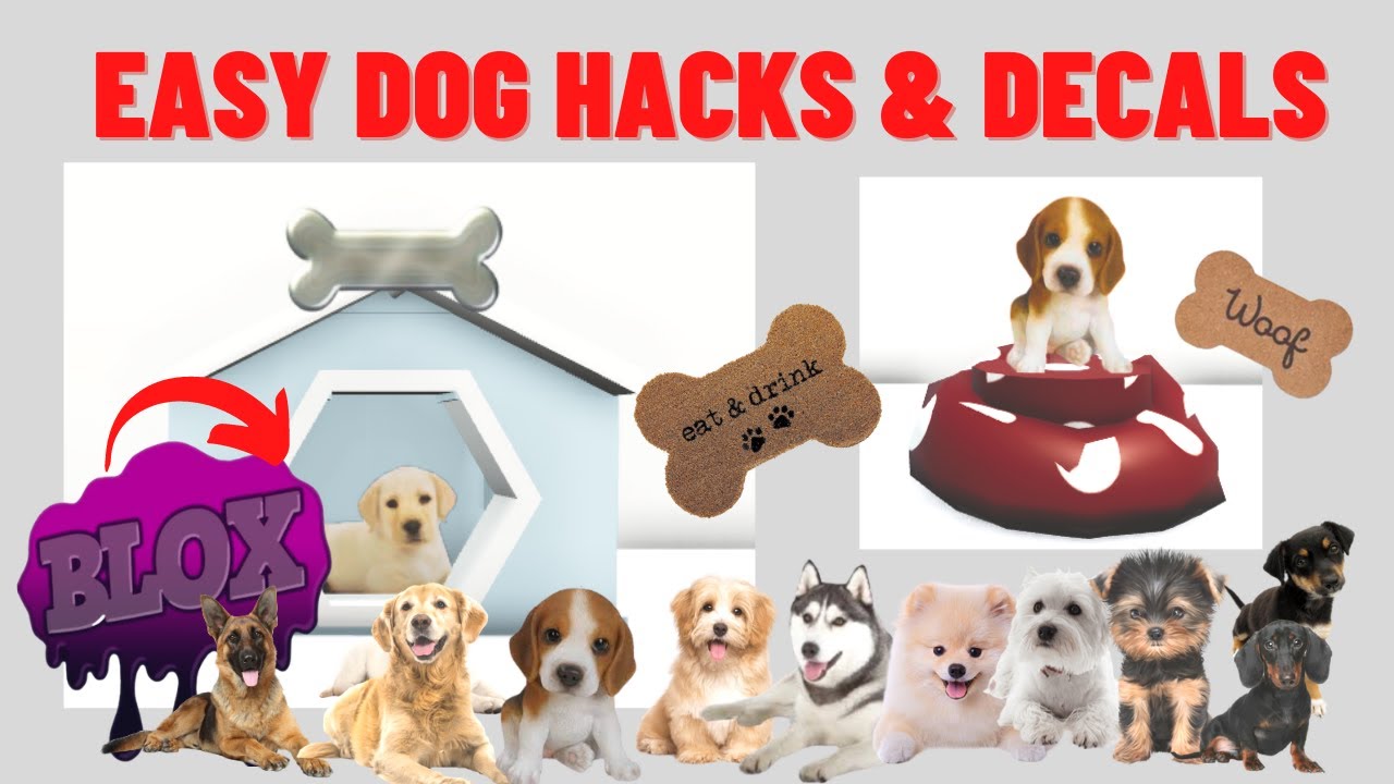 REALISTIC BLOXBURG *PET DOG* hacks  + transparent decal code ids - build ideas/tip/tricks [ROBLOX