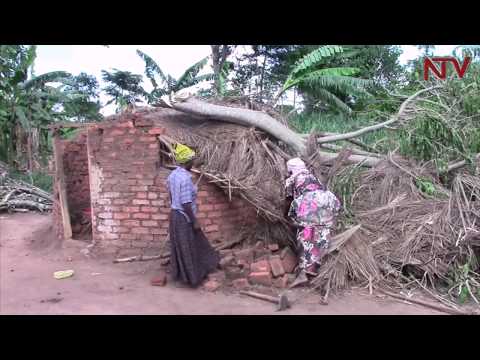 Rains cause destruction in Kaliro district