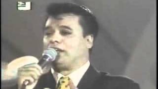 Juan Gabriel - te quise olvidar