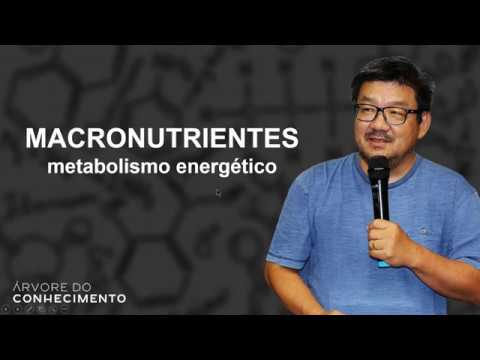 Macronutrientes, energia e exercicio.