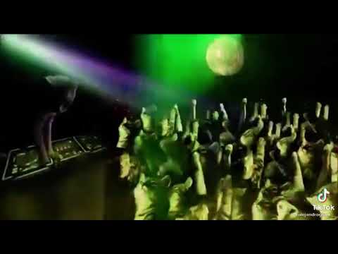 Temazo discoteca gatos Juancarlos