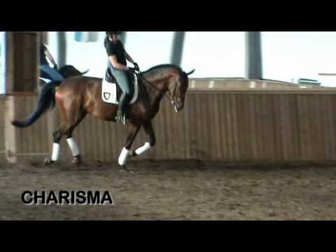 Charisma