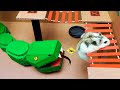 🐹🐍Snake Hamster Maze with Traps - obstacle course
