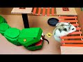 Snake Hamster Maze With Traps Obstacle Course
