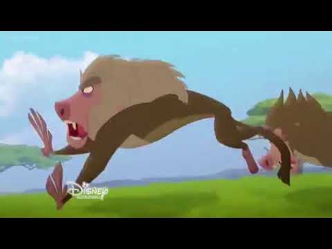 Fuli and the Kion Part 13 - The Muzzle/Fuli Runs Off