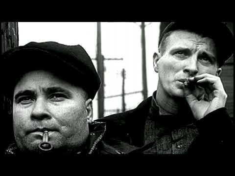 Guano Padano - Sugar Baby