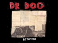 Dr Dog - Heavy Light
